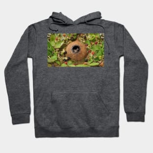 Little mouse in a coconut shell house by the Brambles Hoodie